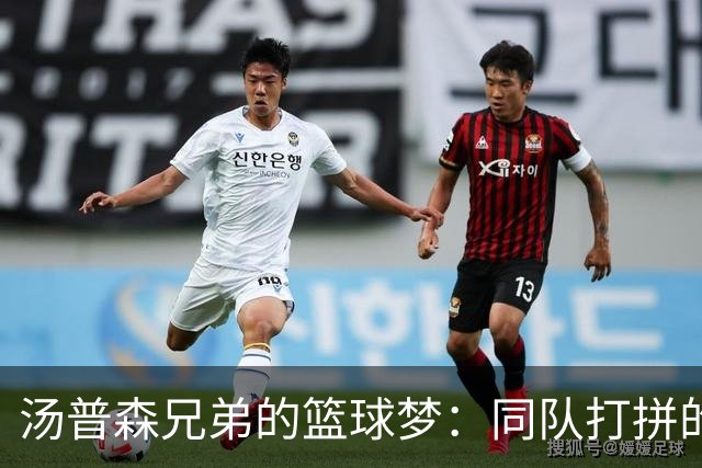 汤普森兄弟的篮球梦：同队打拼的秘密